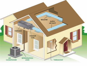 Modular Home Customization